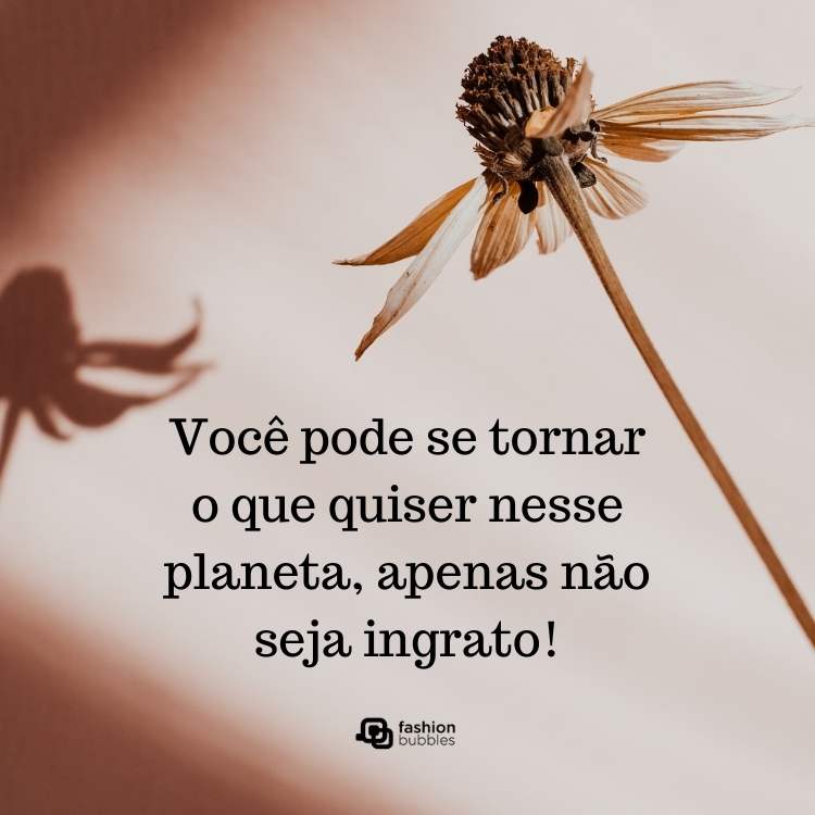 frases para gente ingrata