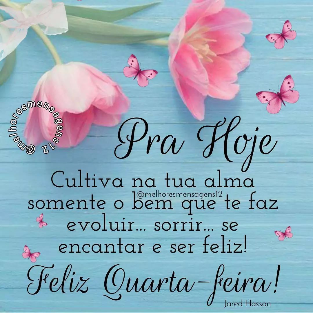 mensagem de quarta