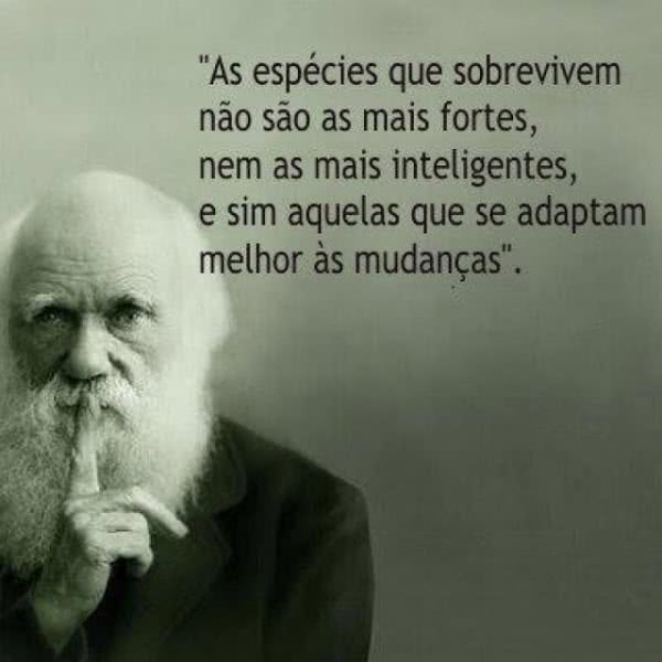 pensamentos para motivar a ação