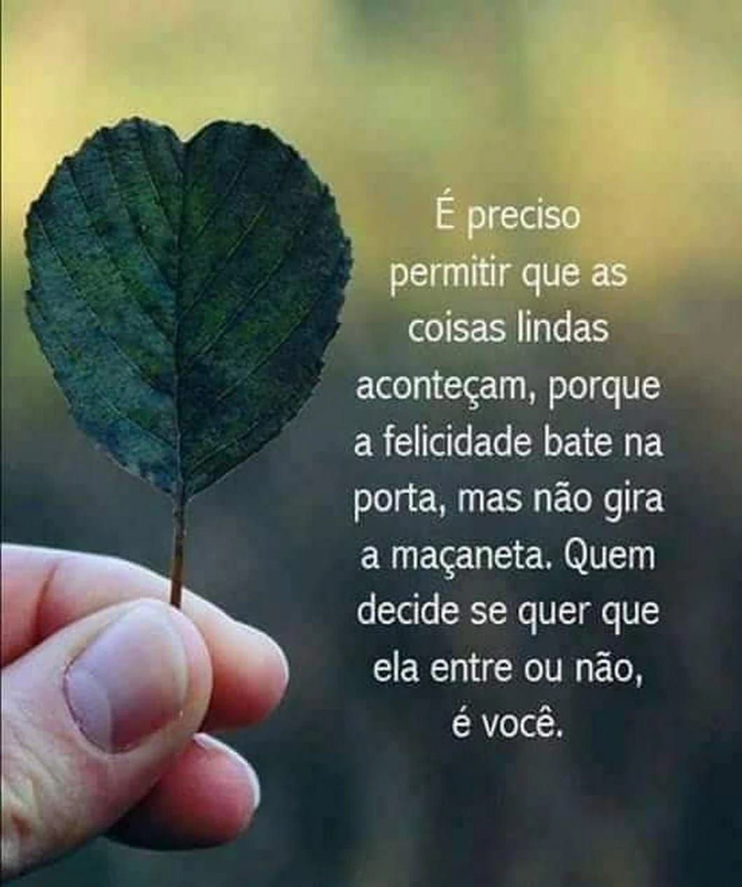 mensagens de autoconhecimento e liberdade