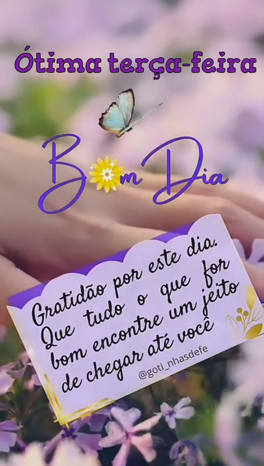 bom dia terça-feira
