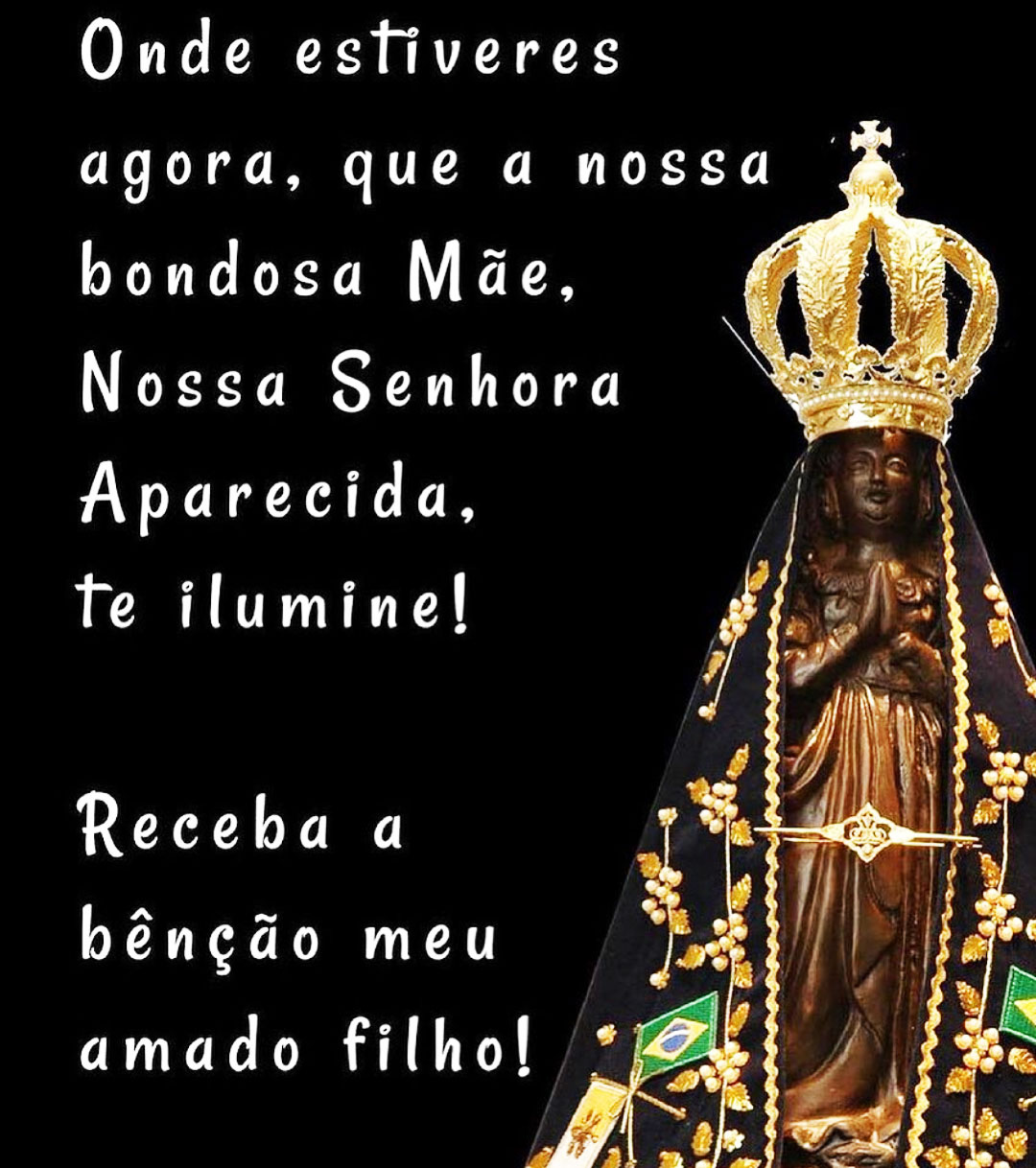 frases nossa senhora aparecida proteção