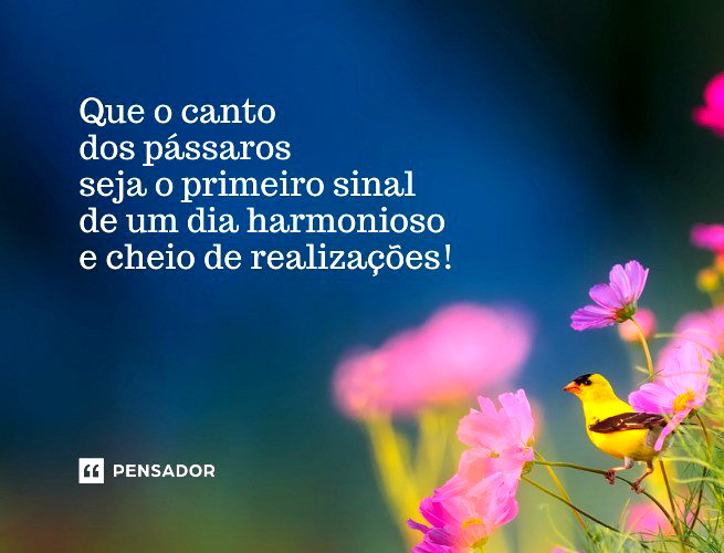 citações de bom dia inspiradoras