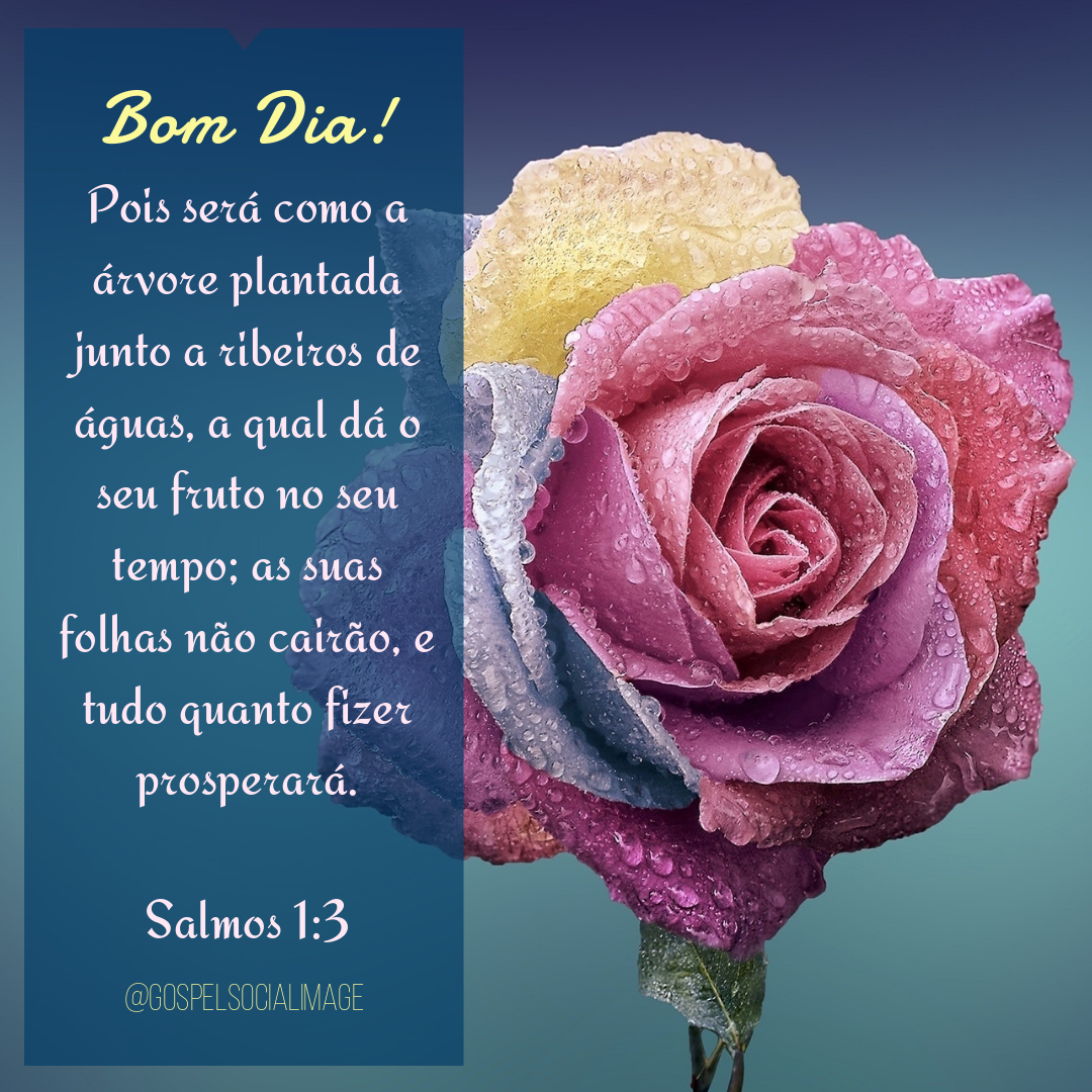 salmos de esperança para hoje